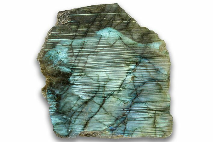 Single Side Polished Labradorite Section - Madagascar #324655
